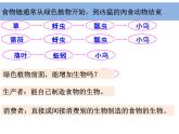 五上 1-5《食物链和食物网》凌珍珍(1) 课件