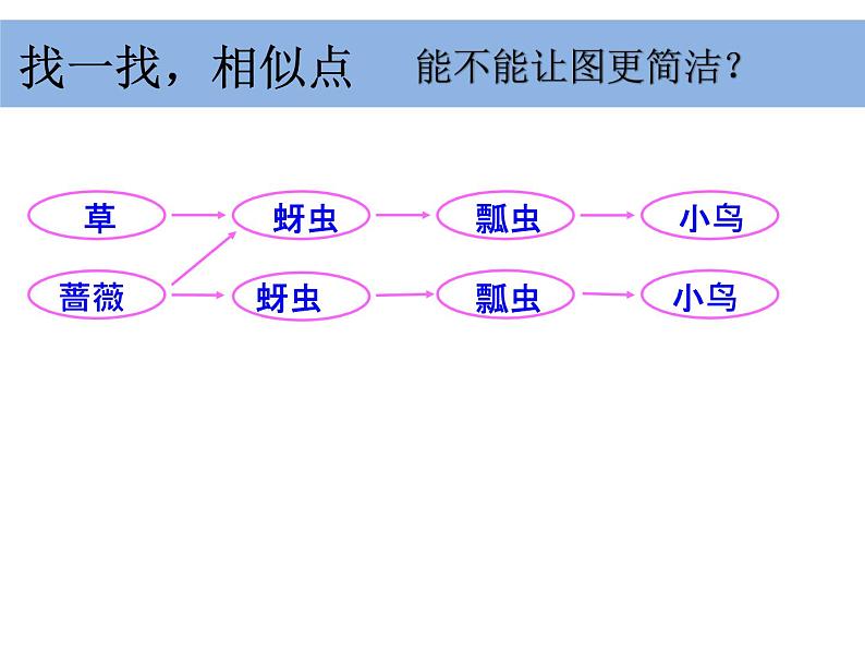 五上 1-5《食物链和食物网》凌珍珍(1) 课件06