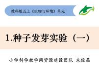 小学科学教科版五年级上册1、种子发芽实验（一）优质课课件ppt