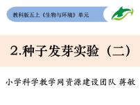 科学五年级上册2、种子发芽实验（二）精品课件ppt