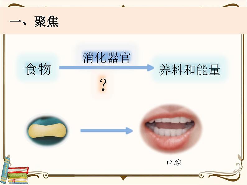 【精品课件】教科版 四年级科学  上册 2-7《食物在口腔里的变化》（PPT）04