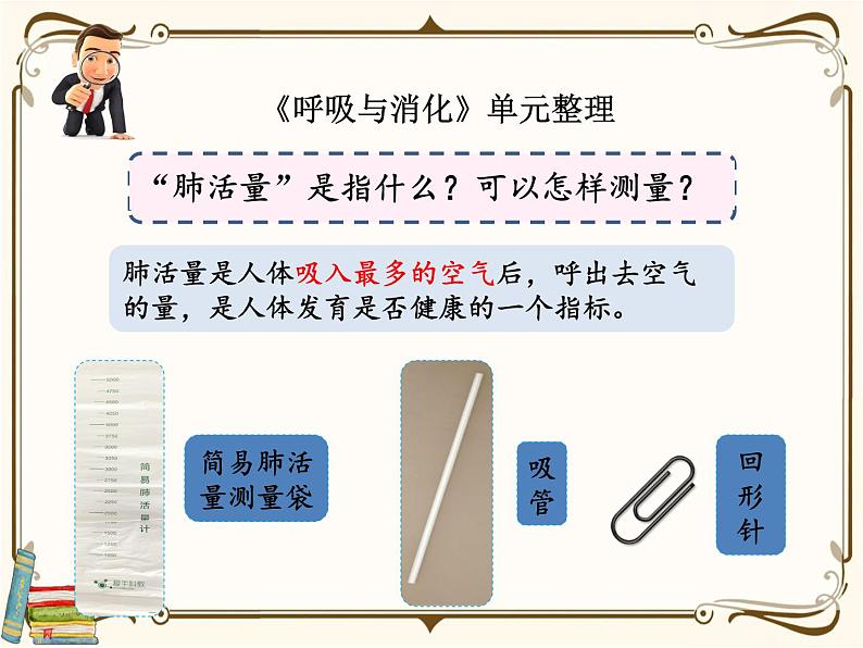 【精品课件】教科版 四年级科学  上册 第二单元《呼吸与消化》单元整理（PPT）07