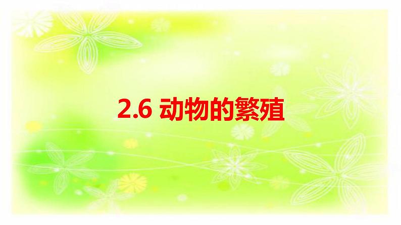 2.6 动物的繁殖课件+素材01