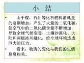六年级上册科学课件- 《化学变化与我们的生活》    北京版（共11页PPT）