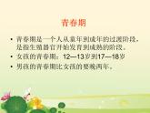 六年级上册科学课件- 《青春期生长发育的特点》    北京版  (共13张PPT)