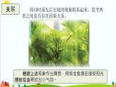 五年級(jí)上冊(cè)第一單元《探究技能 猜想》教學(xué)課件