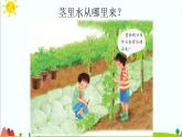 五年级上册第4课《水分在茎里的运输》教学课件