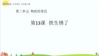 小学科学粤教粤科版 (2017)五年级上册13 铁生锈了优质课件ppt