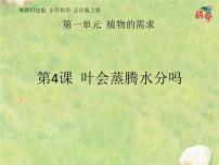 小学科学4 叶会蒸腾水分吗多媒体教学课件ppt