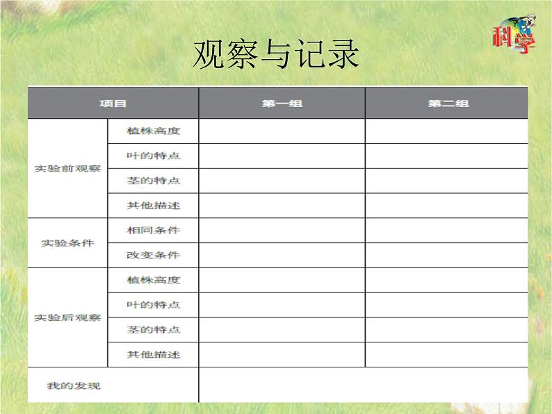 五年级上册第5课植物需要阳光 课件08