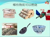 29 物质的燃烧 课件