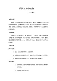 小学科学苏教版三年级上册3.校园里的小动物教案