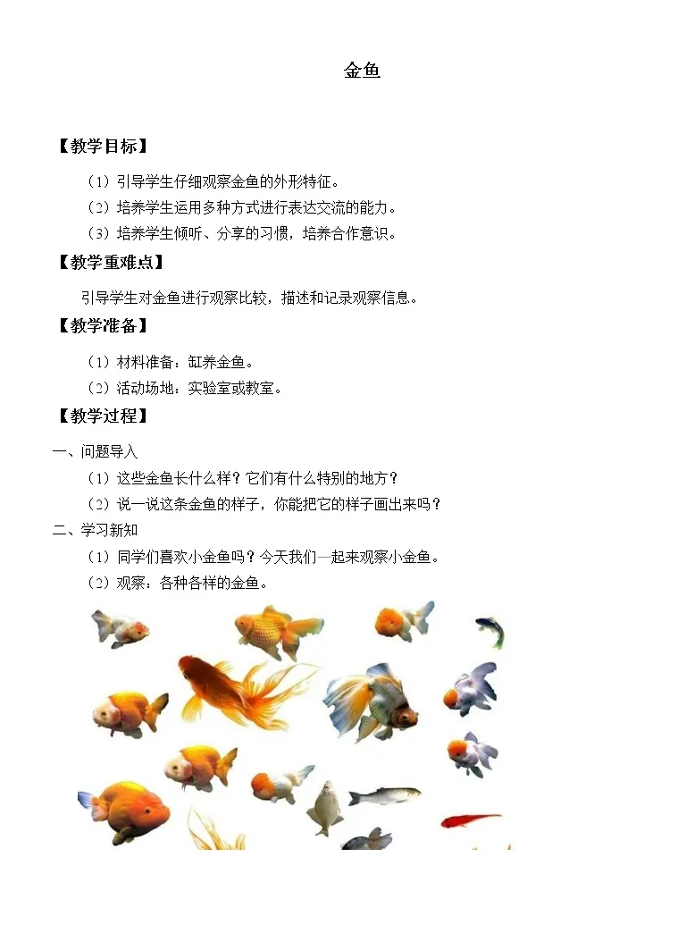 大象版 17 一年级上册2 金鱼教案及反思 教习网 教案下载