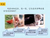 大象版科学二上4.2 动物觅食_课件