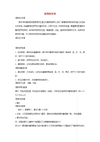 小学科学青岛版 (五四制)四年级上册第一单元 植物的生活1 植物的身体教案及反思