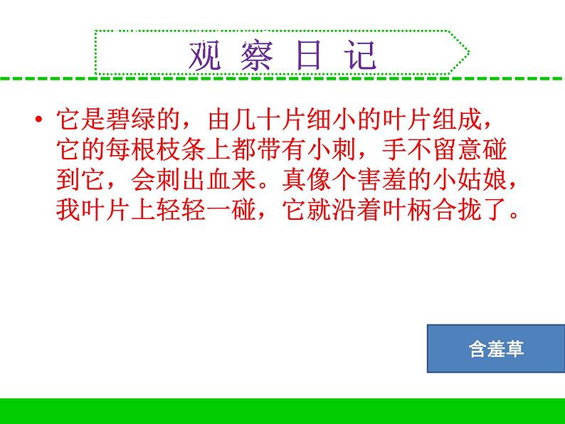 三年级下科学课件《不同环境里的植物》课件2_苏教版（2017秋）05