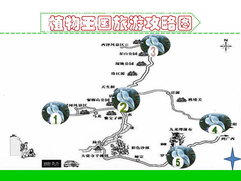 三年级下科学课件《不同环境里的植物》课件2_苏教版（2017秋）07