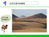 沙漠中的植物PPT課件免費(fèi)下載