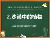 三年级下科学课件《沙漠里的植物》课件2_苏教版（2017秋）