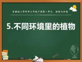 三年级下科学课件《不同环境里的植物》课件3_苏教版（2017秋）
