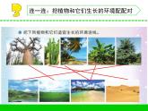 三年级下科学课件《不同环境里的植物》课件3_苏教版（2017秋）