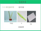 三年级下科学课件《幼苗长大了》课件 (2)_苏教版（2017秋）
