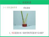 三年级下科学课件《幼苗长大了》课件 (2)_苏教版（2017秋）