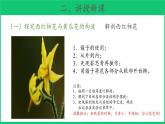 三年級(jí)下科學(xué)課件《植物開(kāi)花了》課件4_蘇教版（2017秋）