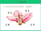 三年級(jí)下科學(xué)課件《植物開(kāi)花了》課件4_蘇教版（2017秋）