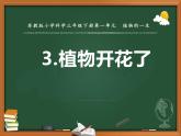植物開(kāi)花了PPT課件免費(fèi)下載