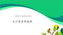 科学三年级下册第二单元 植物与环境6 沙漠中的植物多媒体教学课件ppt