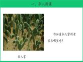 三年级下科学课件《沙漠里的植物》课件5_苏教版（2017秋）