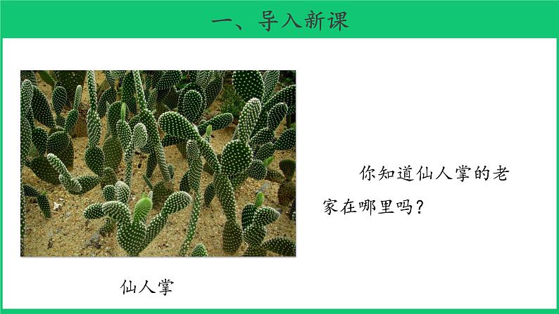 三年级下科学课件《沙漠里的植物》课件5_苏教版（2017秋）02