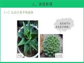 三年级下科学课件《沙漠里的植物》课件5_苏教版（2017秋）