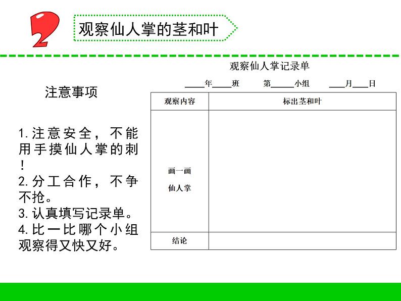 三年级下科学课件《沙漠里的植物》课件4_苏教版（2017秋）07