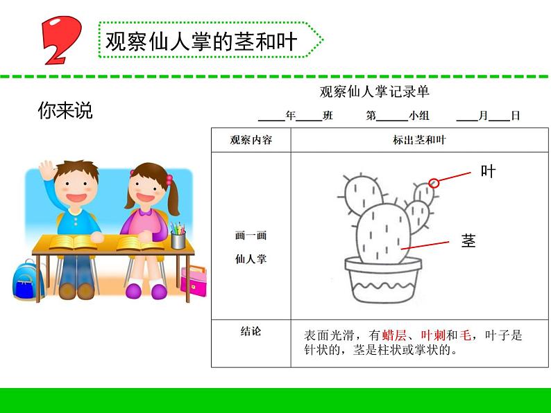 三年级下科学课件《沙漠里的植物》课件4_苏教版（2017秋）08