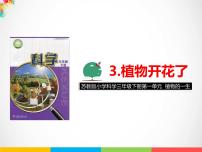 小学科学苏教版 (2017)三年级下册3 植物开花了多媒体教学课件ppt