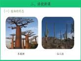 三年级下科学课件《不同环境里的植物》课件4_苏教版（2017秋）