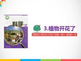 三年級(jí)下科學(xué)課件《植物開花了》課件1_蘇教版（2017秋）