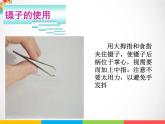 三年級(jí)下科學(xué)課件《植物開花了》課件1_蘇教版（2017秋）