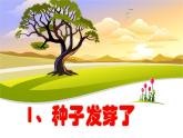 三年级下科学课件种子发芽了_苏教版（2017秋）