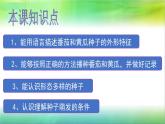 三年级下科学课件种子发芽了_苏教版（2017秋）