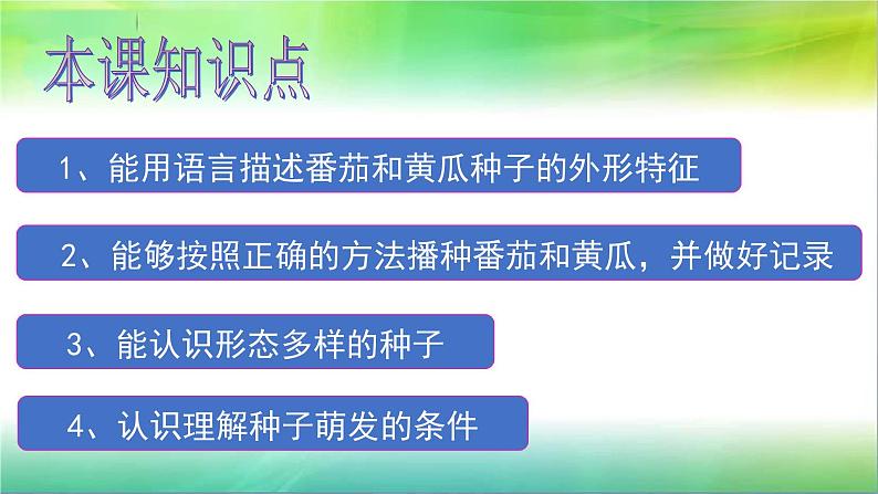 三年级下科学课件种子发芽了_苏教版（2017秋）第4页