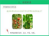 三年级下科学课件《植物结果了》课件3_苏教版（2017秋）