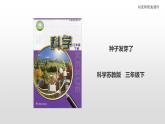 三年级下科学课件苏教版（2019）科学三年级下1.1《种子发芽了》课件_苏教版（2017秋）