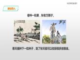 三年级下科学课件苏教版（2019）科学三年级下1.1《种子发芽了》课件_苏教版（2017秋）