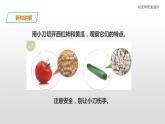 三年级下科学课件苏教版（2019）科学三年级下1.1《种子发芽了》课件_苏教版（2017秋）