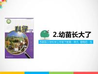 小学科学苏教版 (2017)三年级下册2 幼苗长大了课文内容ppt课件