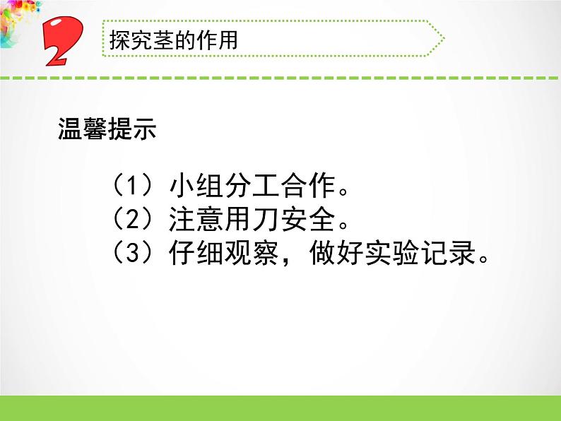 三年级下科学课件《幼苗长大了》课件1_苏教版（2017秋）07