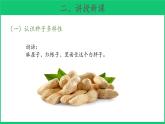 三年级下科学课件《种子发芽了》课件3_苏教版（2017秋）